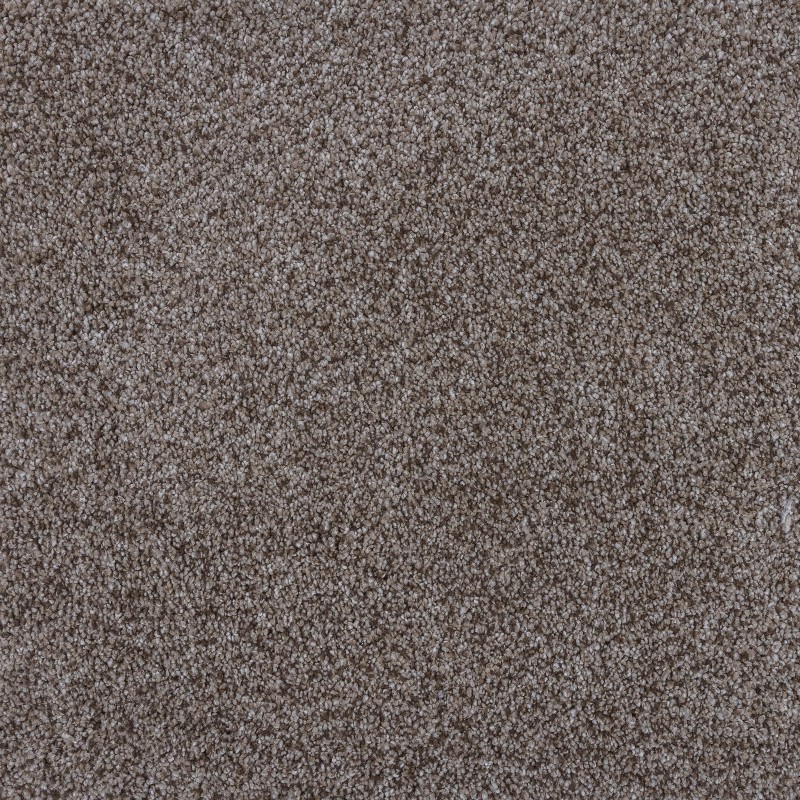 Rolled Carpet | Monumental Collection | Artistic Taupe