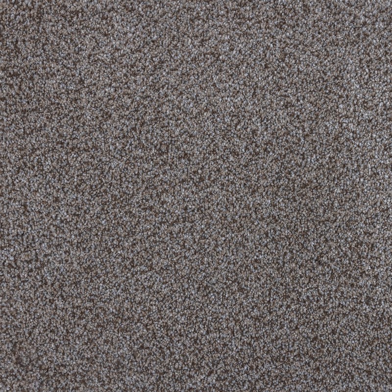 Rolled Carpet | Monumental Collection | Maverick