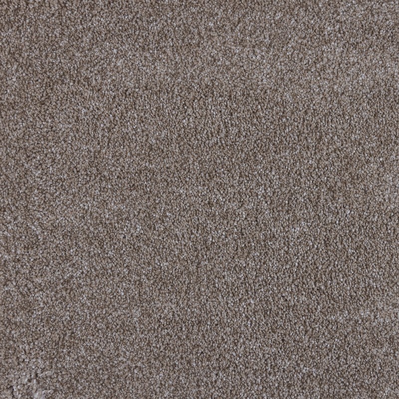 Rolled Carpet | Monumental Collection | Starstruck